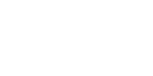 Elect Bob Lloyd Logo